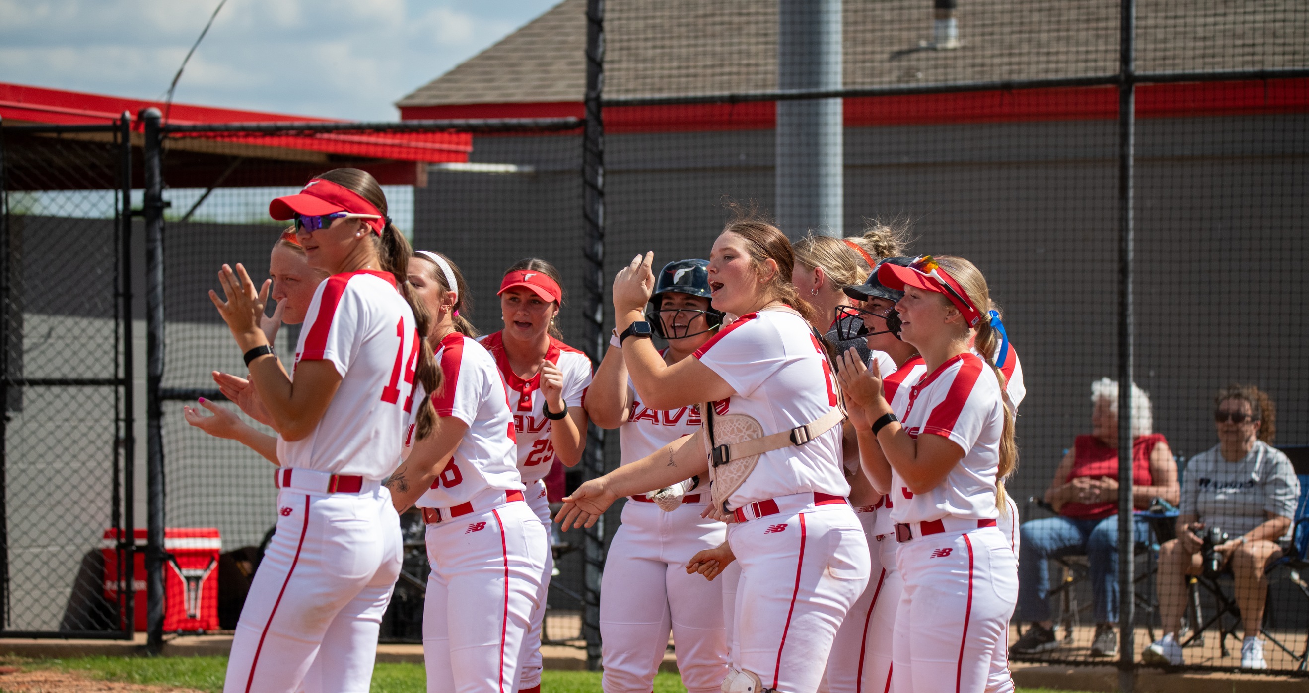 Mavs Softball
